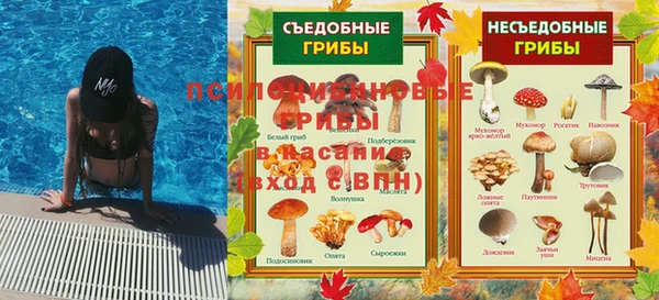 крисы Баксан