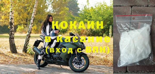 крисы Баксан