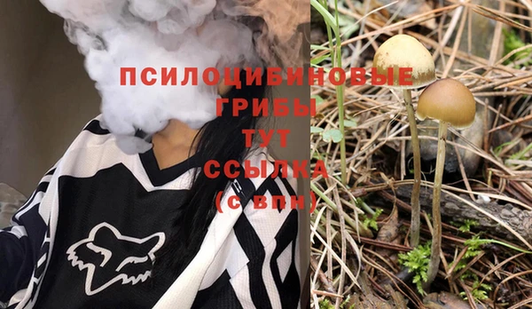 стафф Балахна